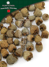 Fu Pen Zi, unsulfured Rubus chingii fruit